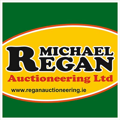 Michael Regan Logo